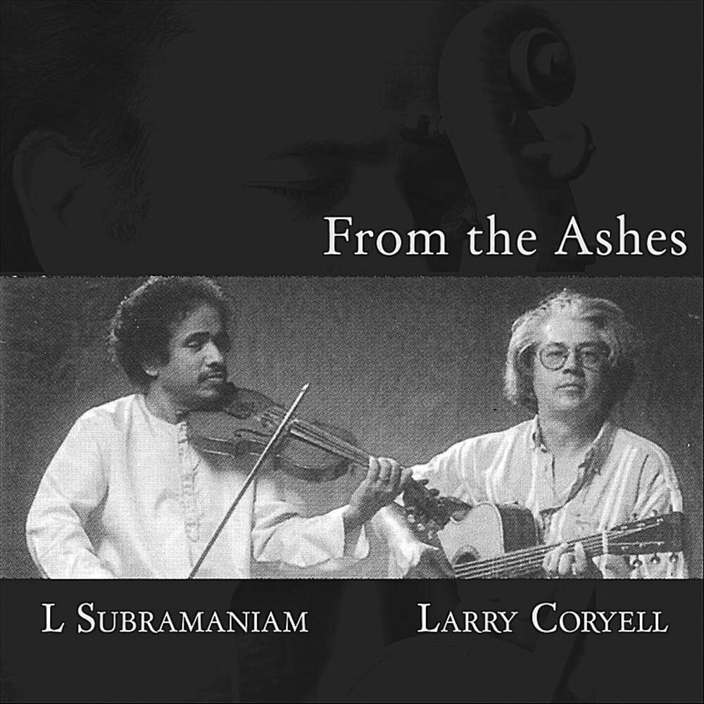 Picture of From the Ashes