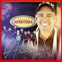 Cover of Asesina