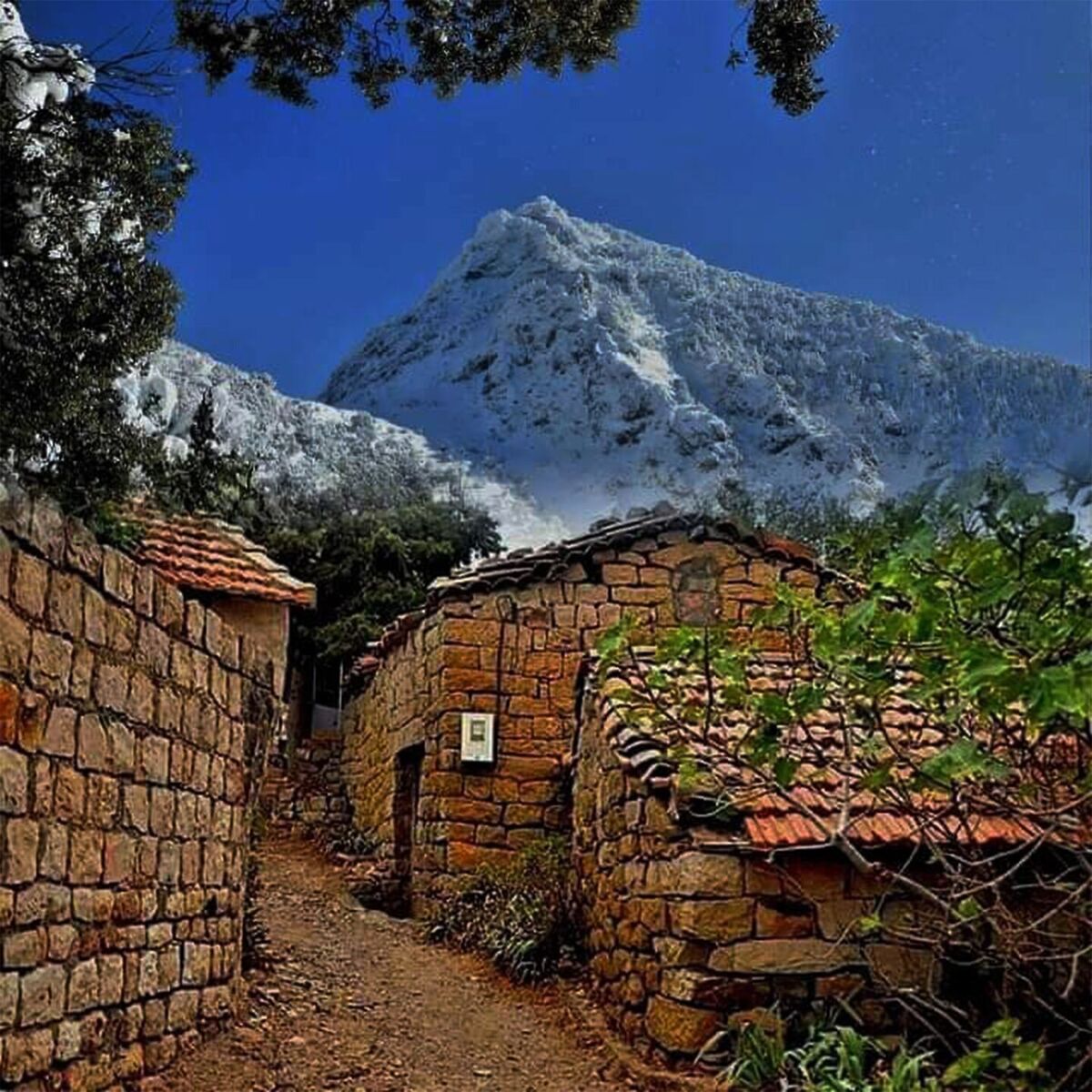 Album cover of A-ouiza Semhas (Live)