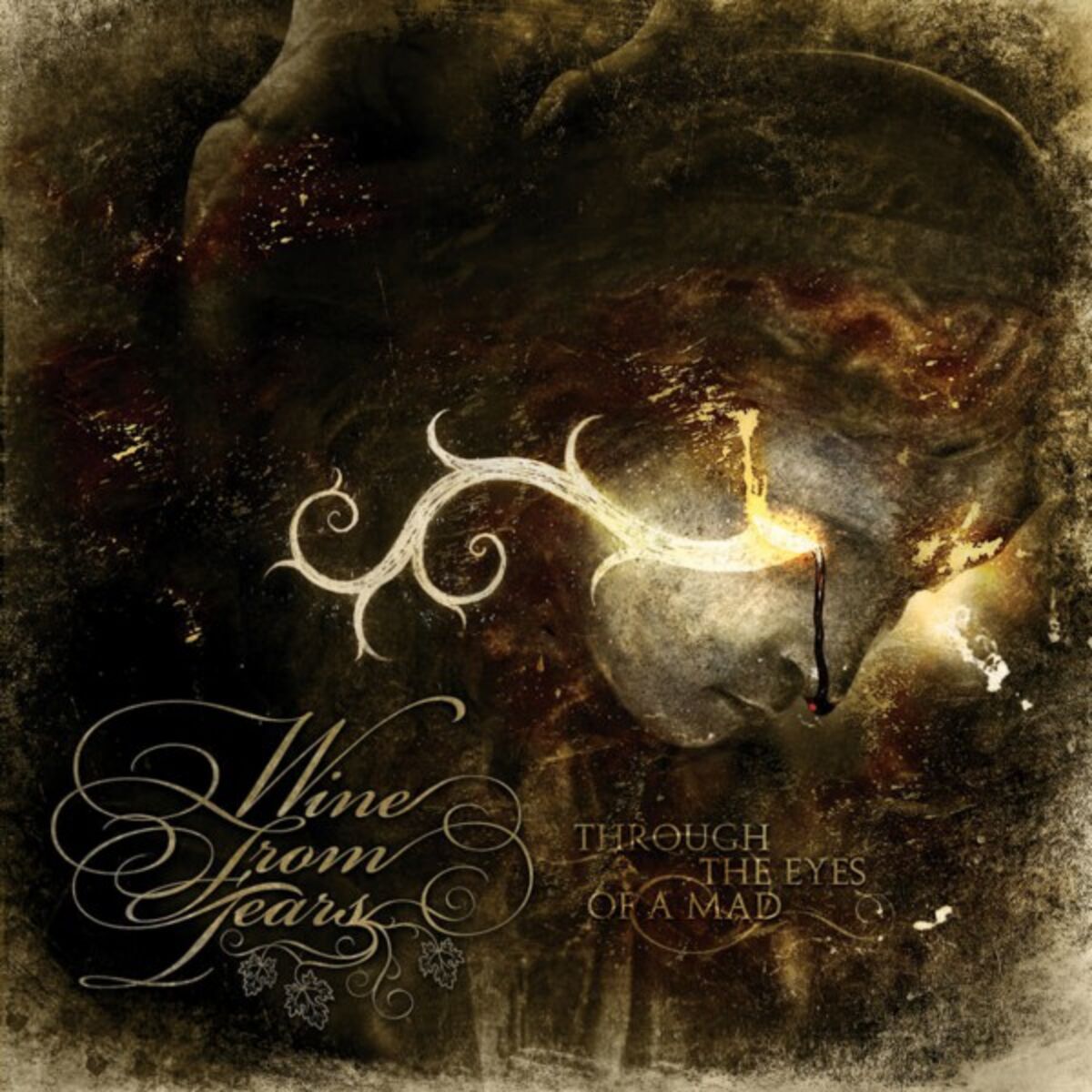 Album cover of Through the Eyes of a Mad