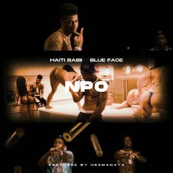 Cover of N.P.O