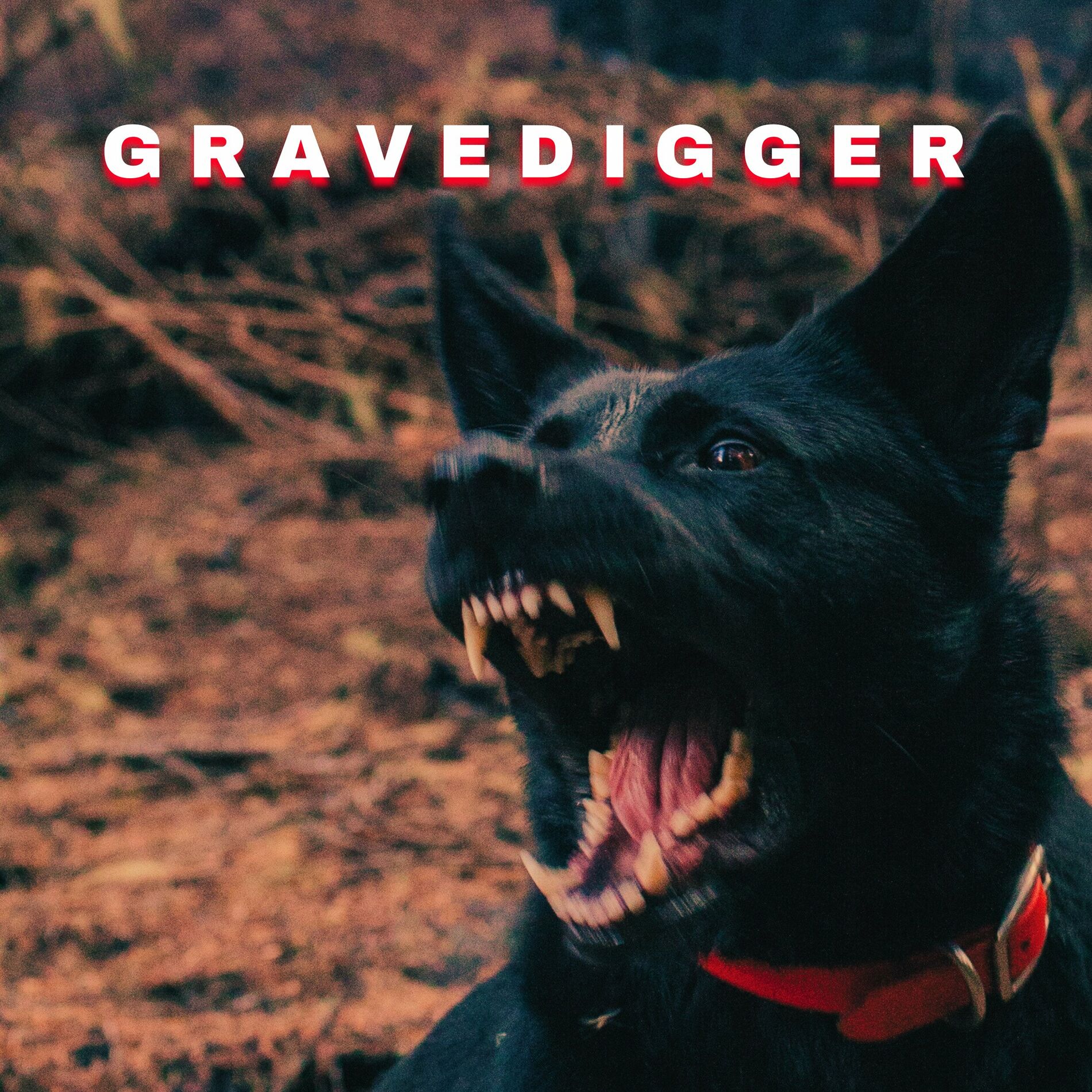 Album cover of Gravedigger