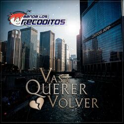 Cover of Vas A Querer Volver