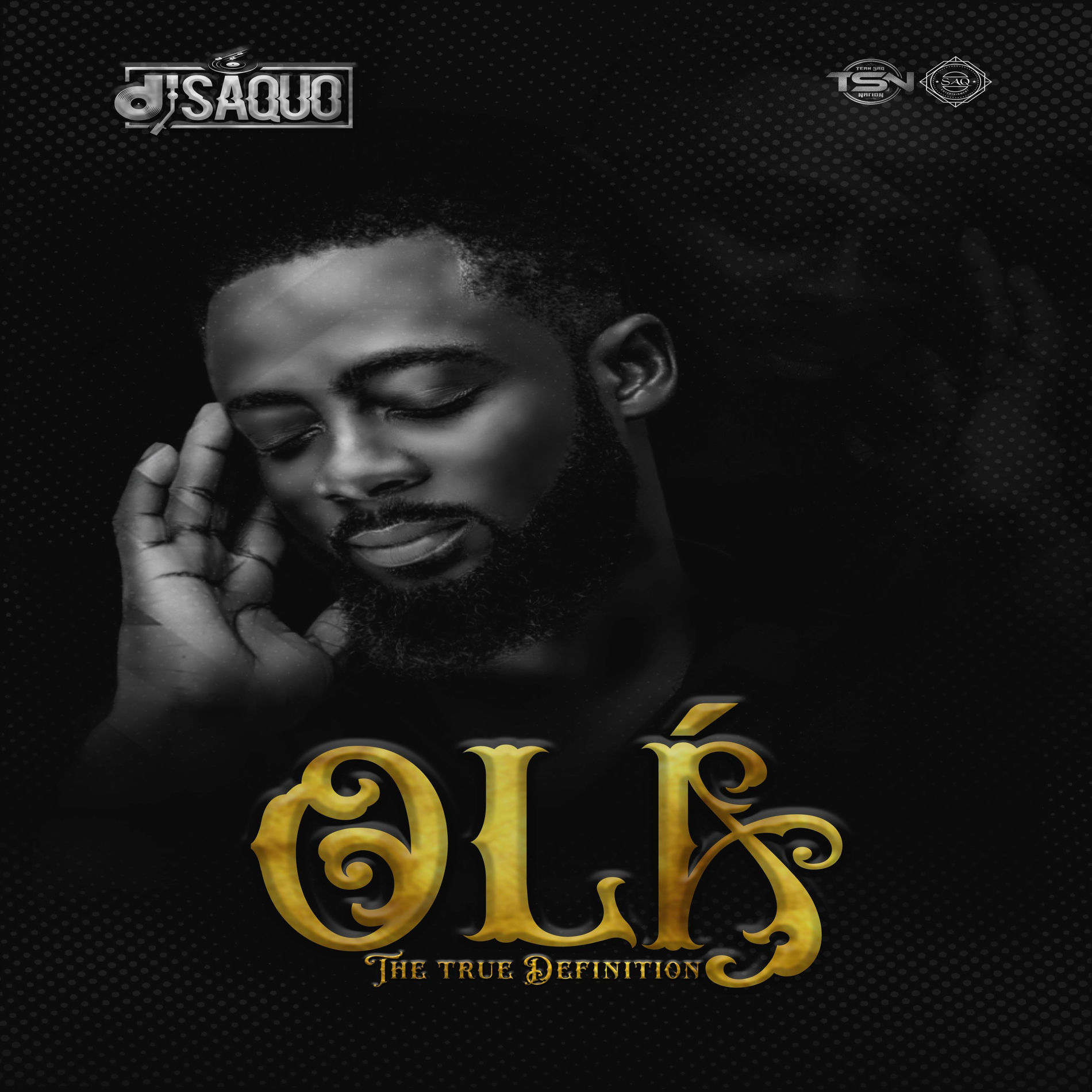 Album cover of OLÁ The True Definition (OTTD)