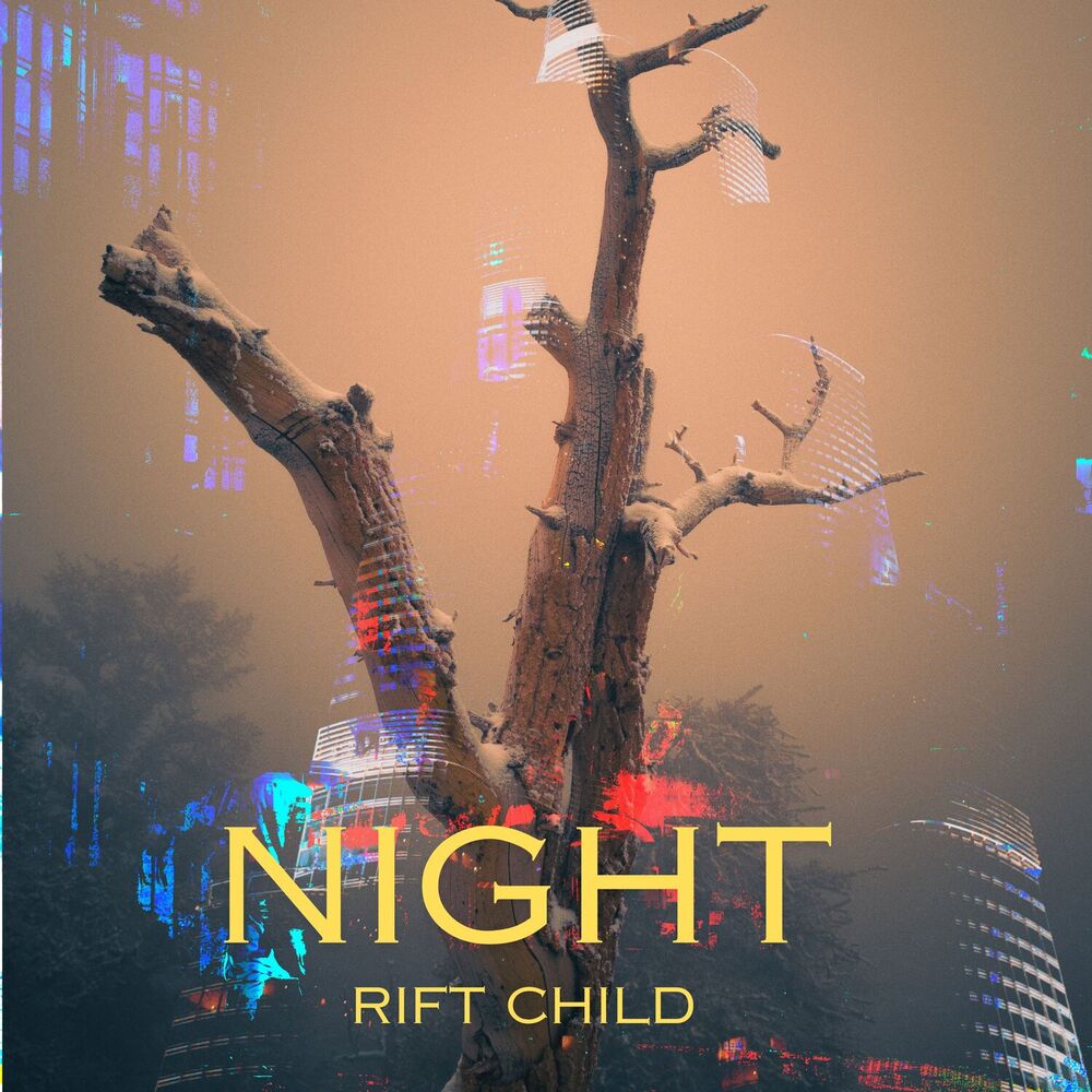 Picture of Night