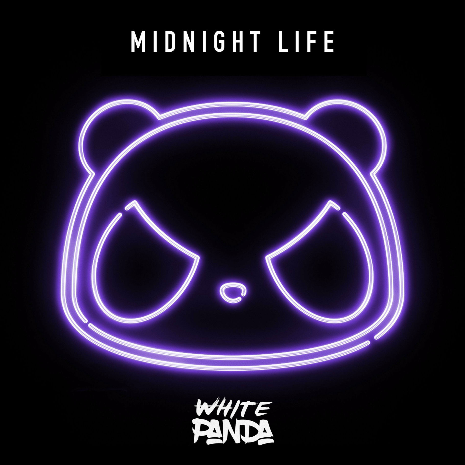 Album cover of Midnight Life