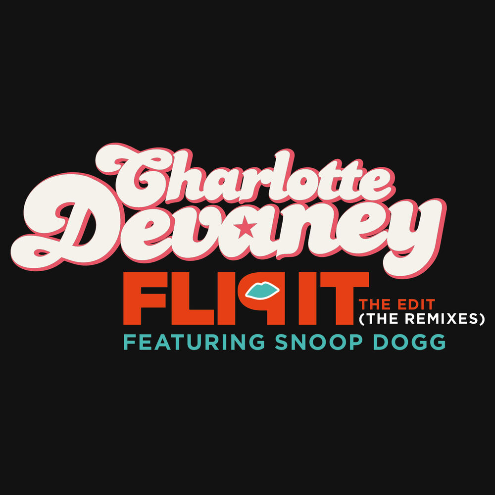 Picture of Flip It (The Edit) (The Remixes)