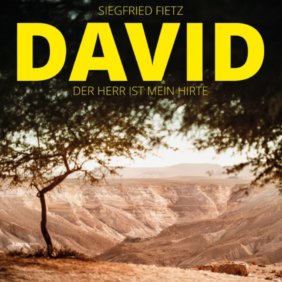 Album cover of Lobe den Herrn
