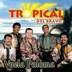 Cover of Vuela Paloma