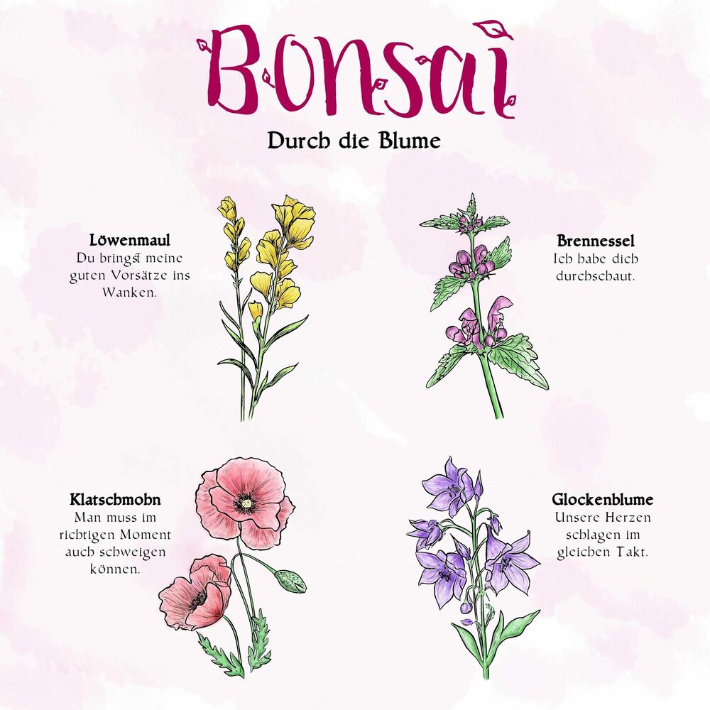 Picture of Durch die Blume