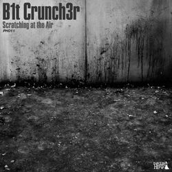 Cover of Scratching at the Air