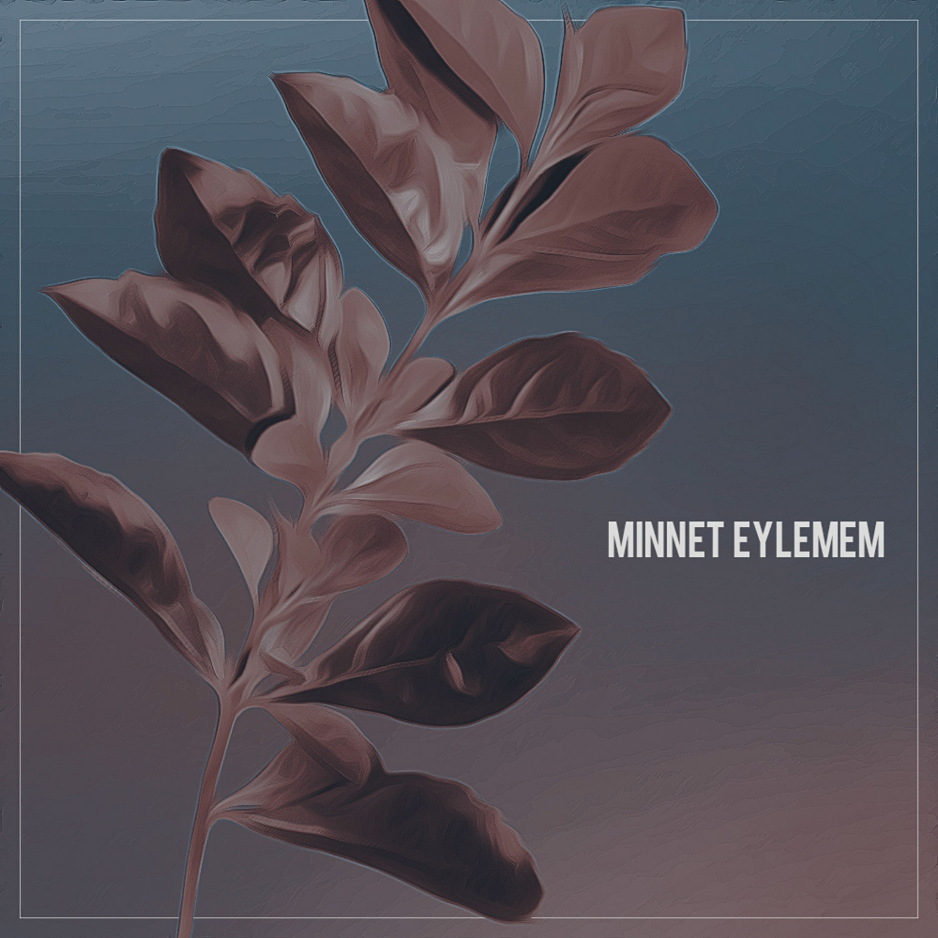 Album cover of Minnet Eylemem