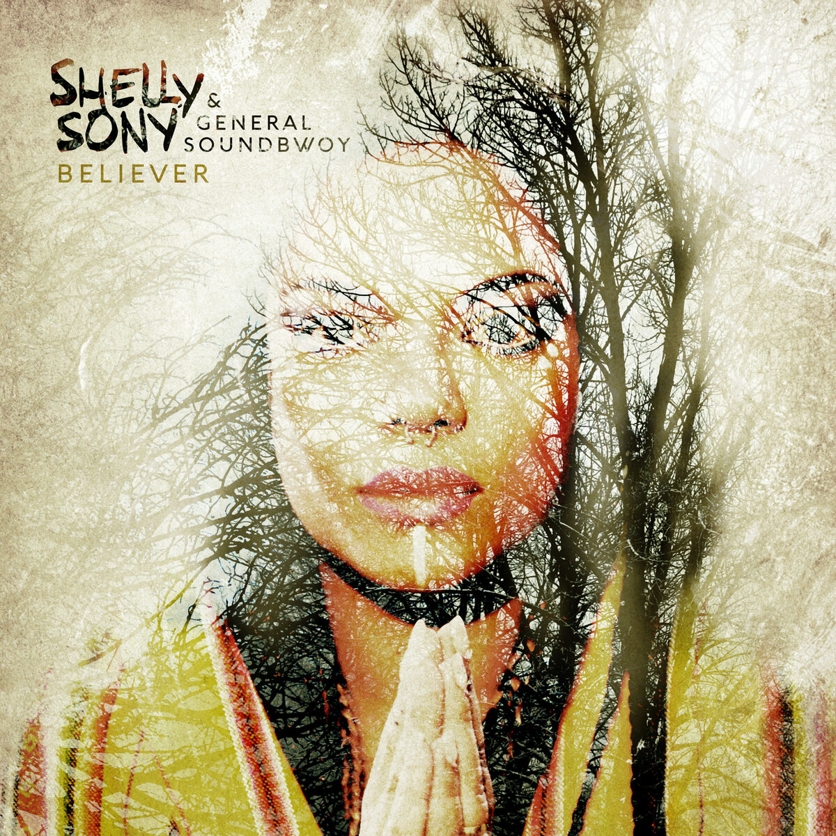 Album cover of Believer