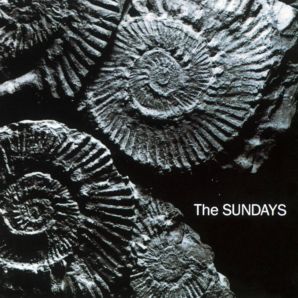The Sundays - Reading Writing And Arithmetic | Deezer