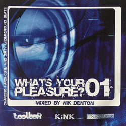 Cover of What's Your Pleasure?