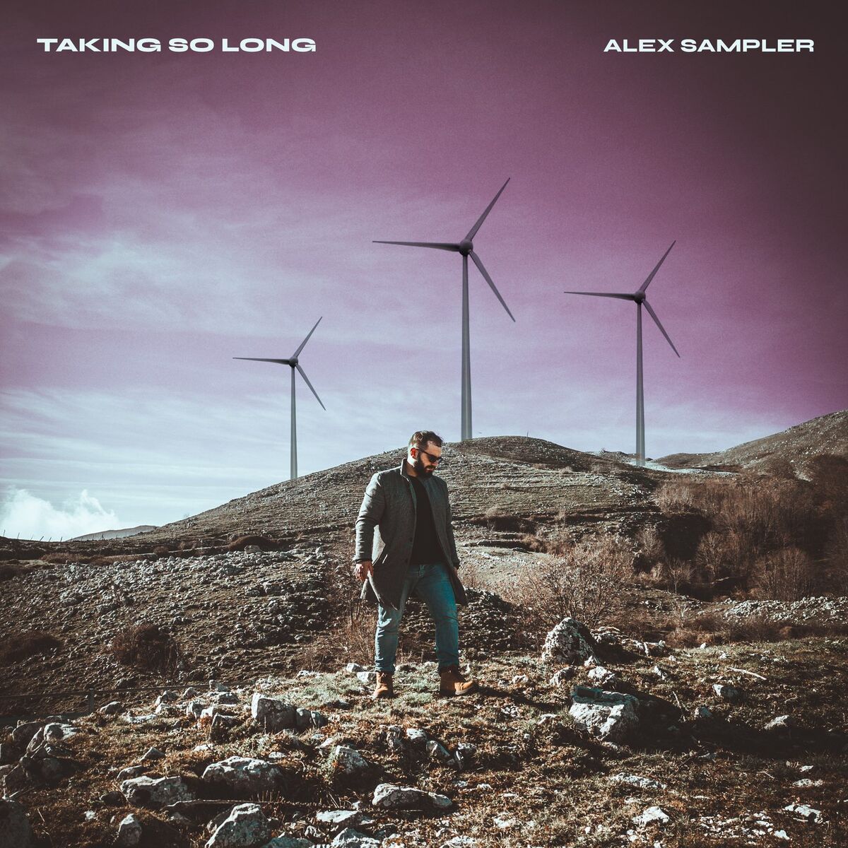 Album cover of Taking so Long