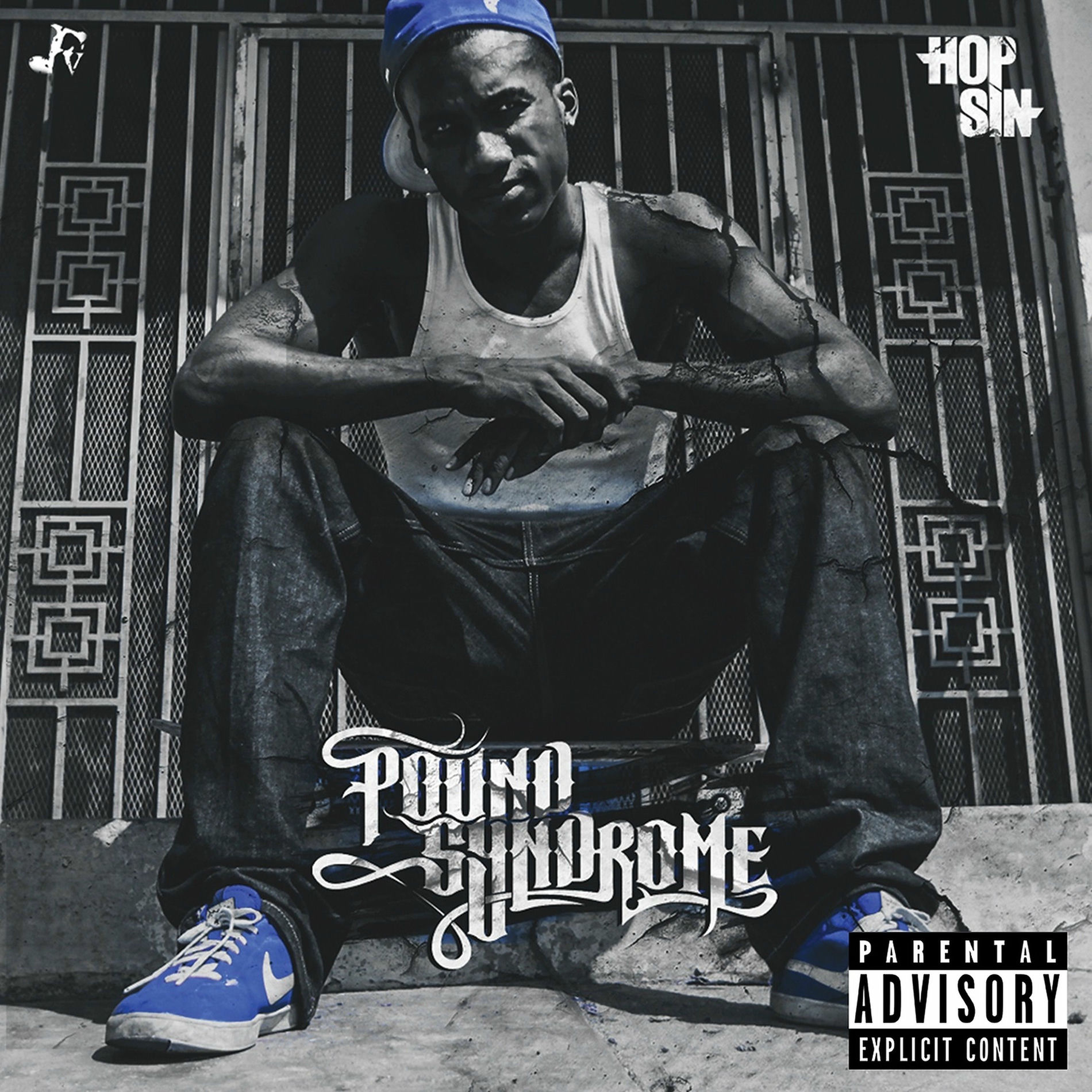Album cover of Pound Syndrome