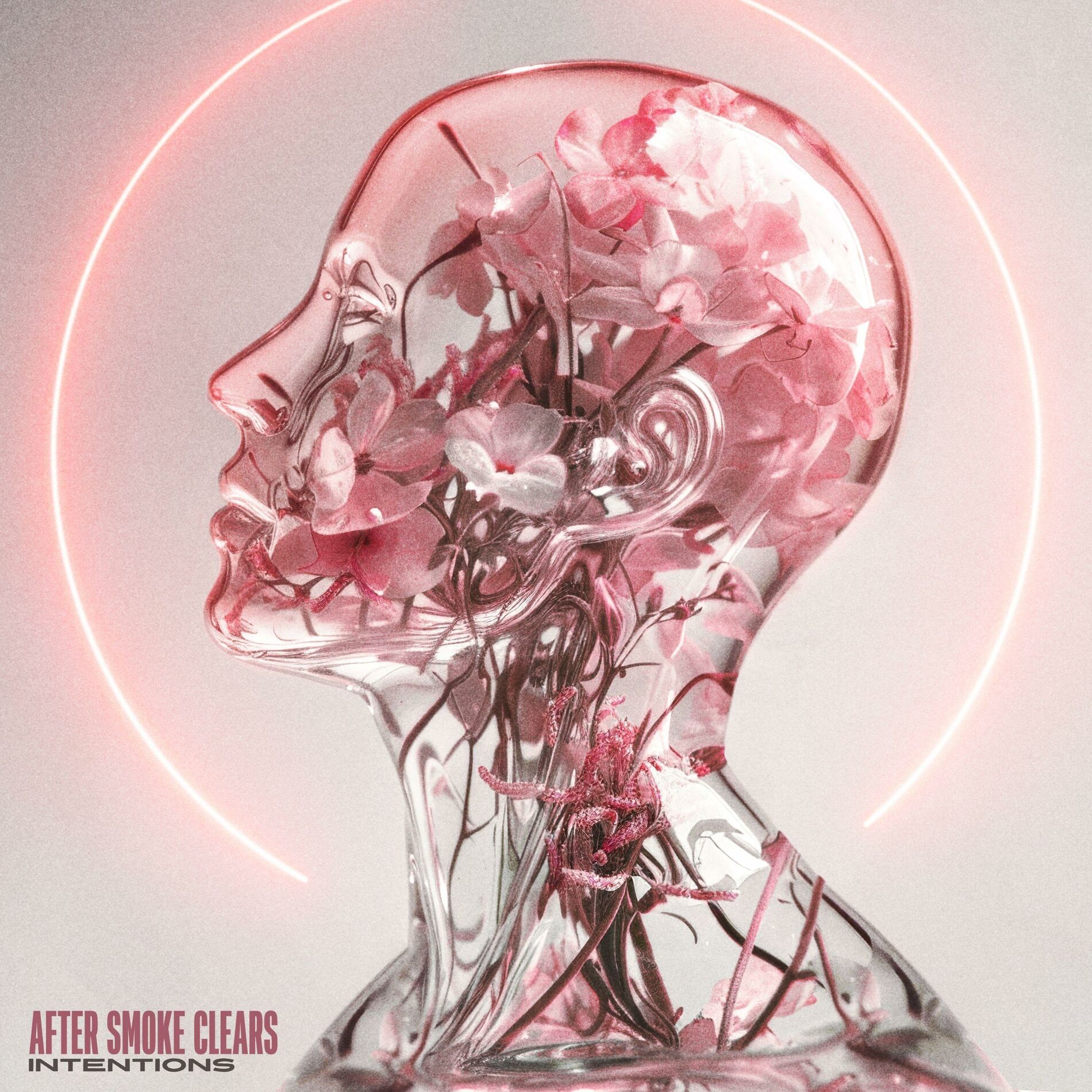 Album cover of Intentions