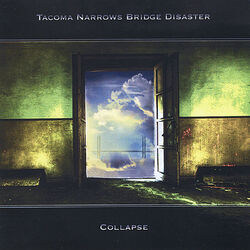 Cover of Collapse