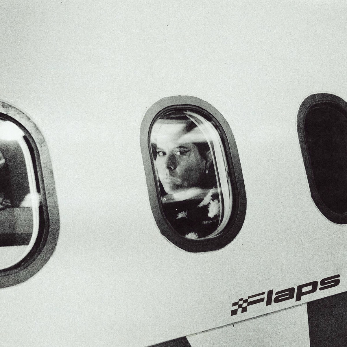 Album cover of FLAPS