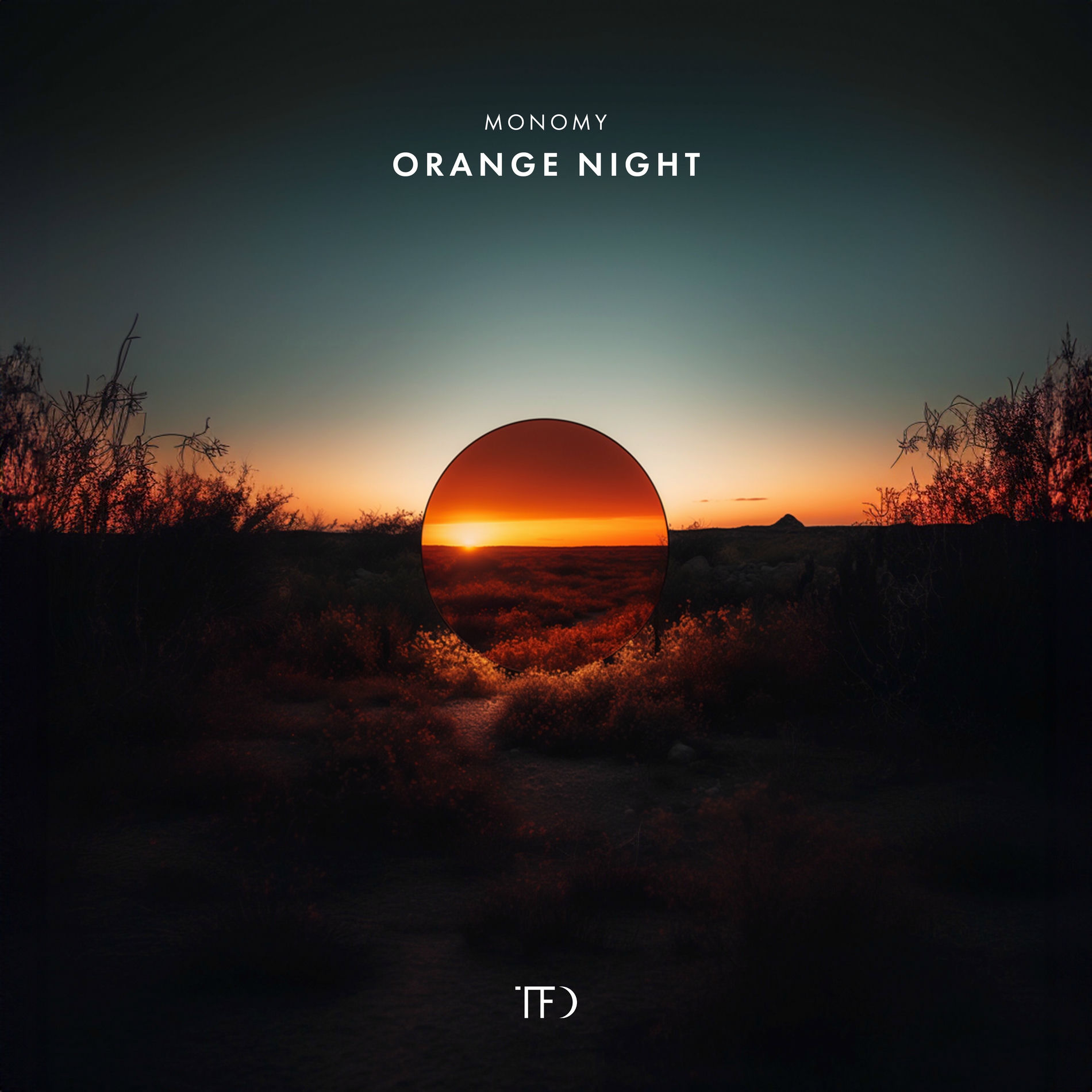 Album cover of Orange Night