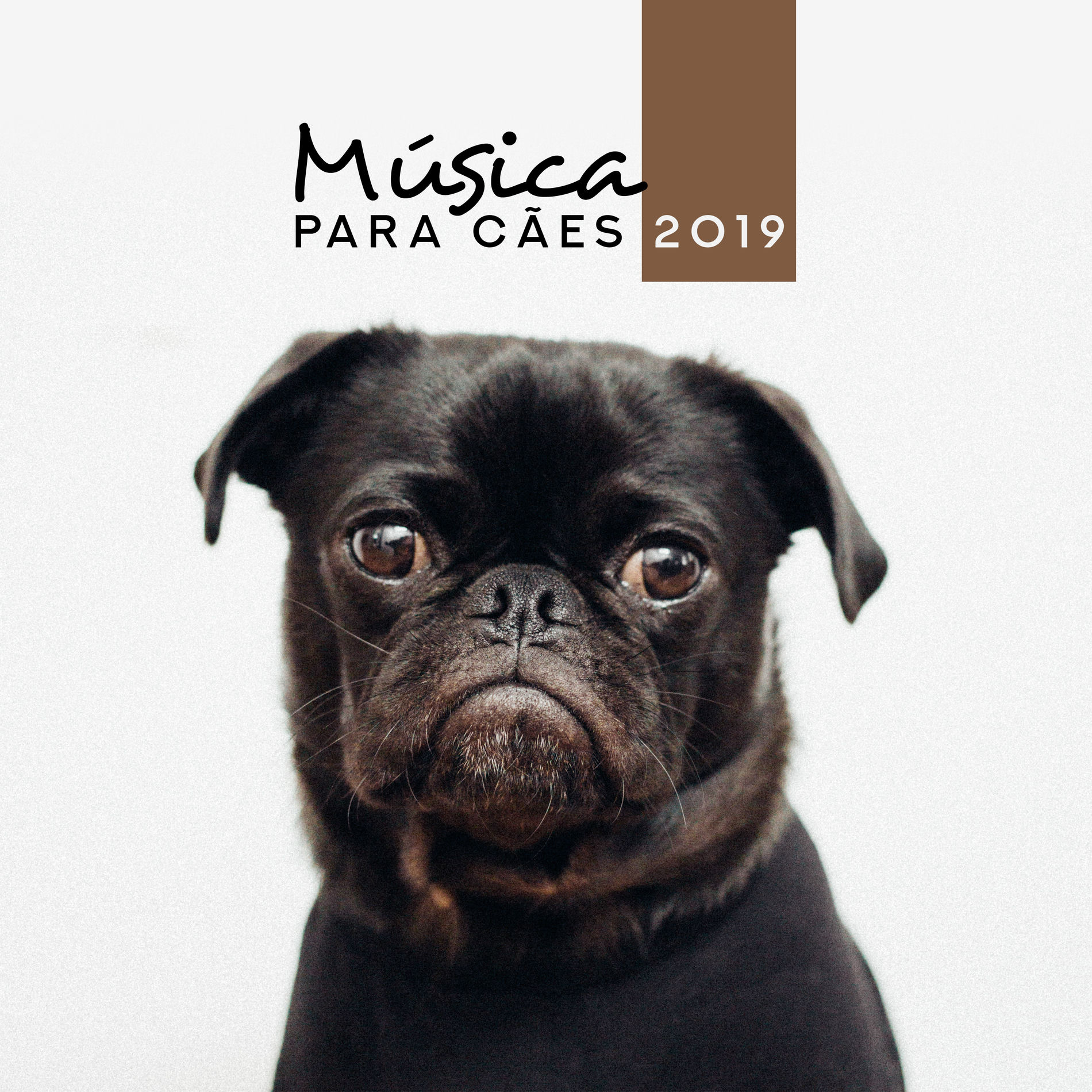 Album cover of Música para Cães 2019