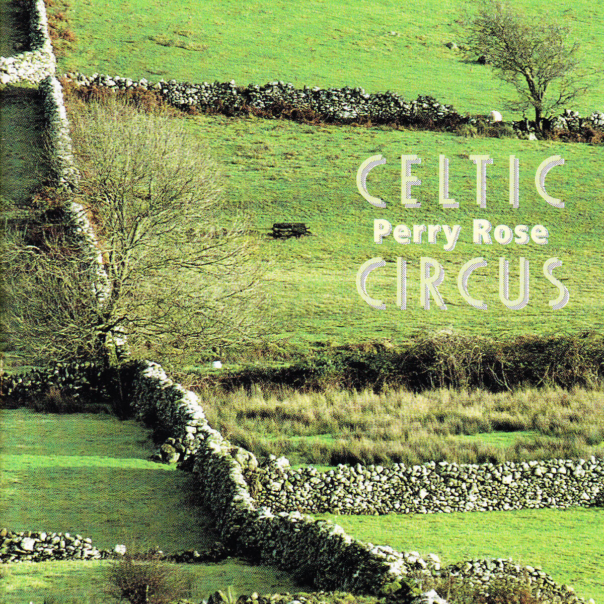 Album cover of Celtic Circus