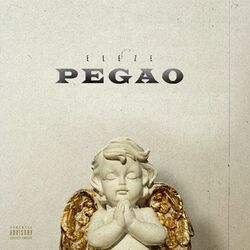 Cover of Pegao