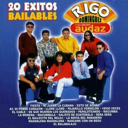 Cover of 20 Éxitos Bailables