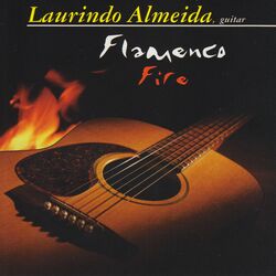 Cover of Flamenco Fire