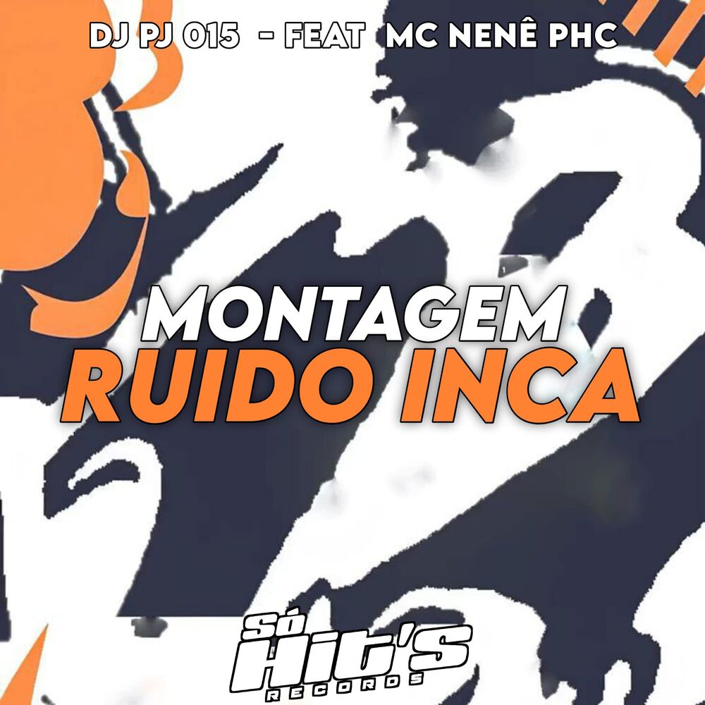 Picture of Montagem Ruido Inca