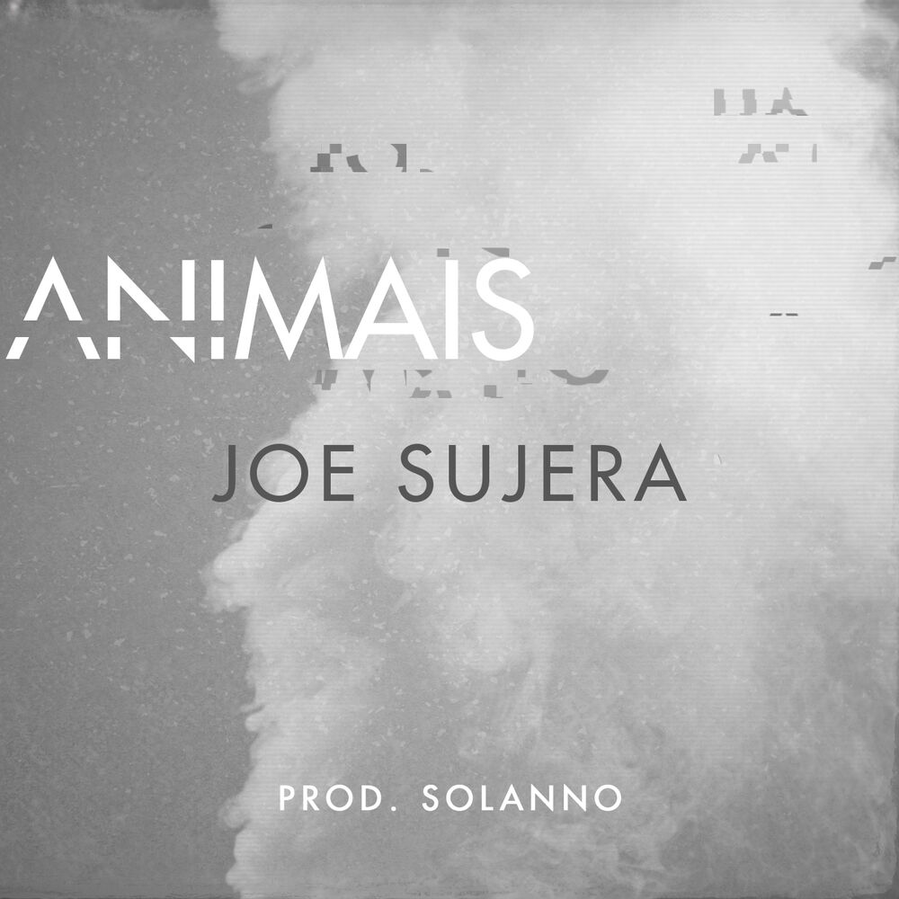 Picture of Animais