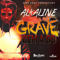 Cover of Grave Dem a Go