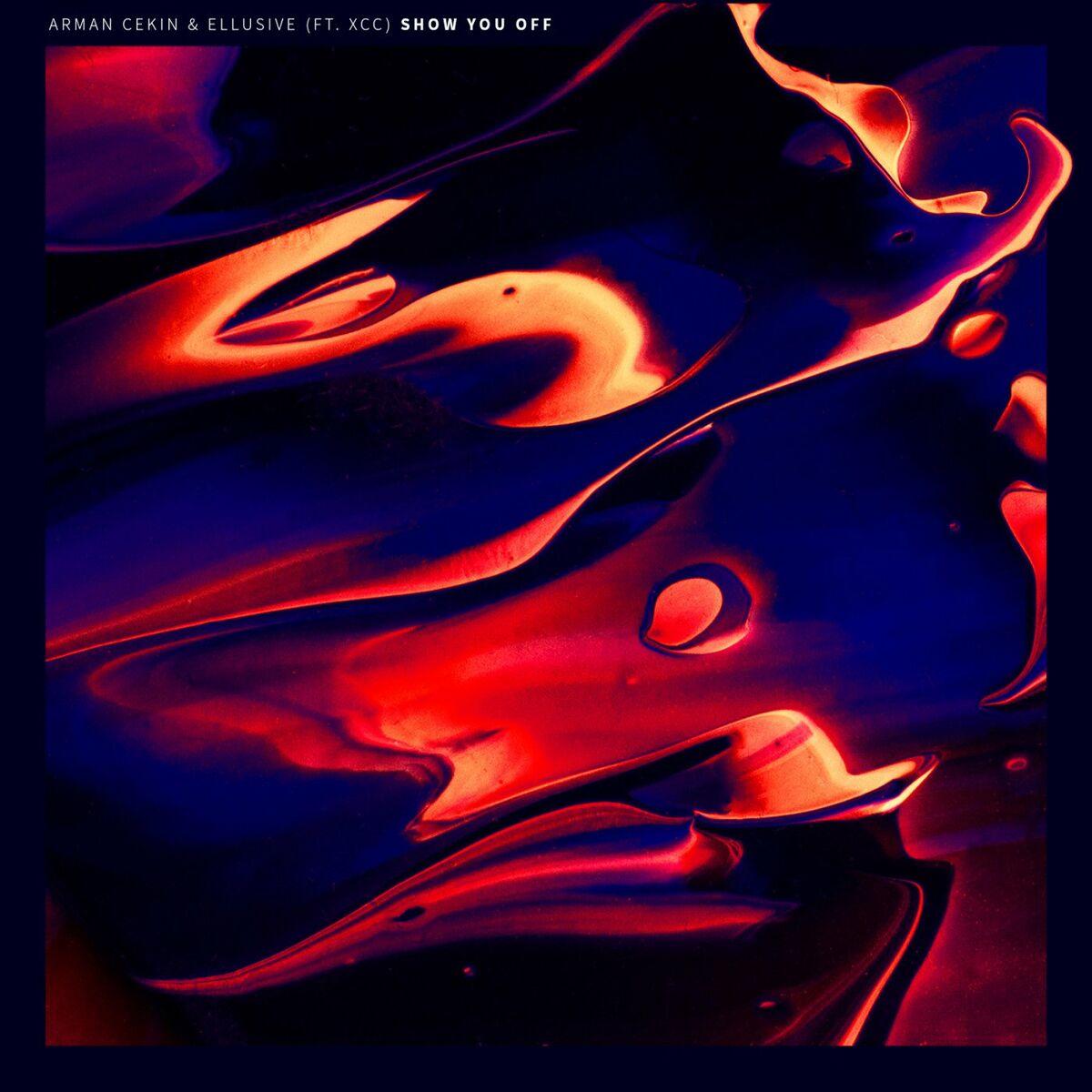 Album cover of Show You off (feat. Xuitcasecity)