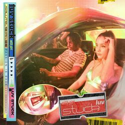 Cover of luv stuck