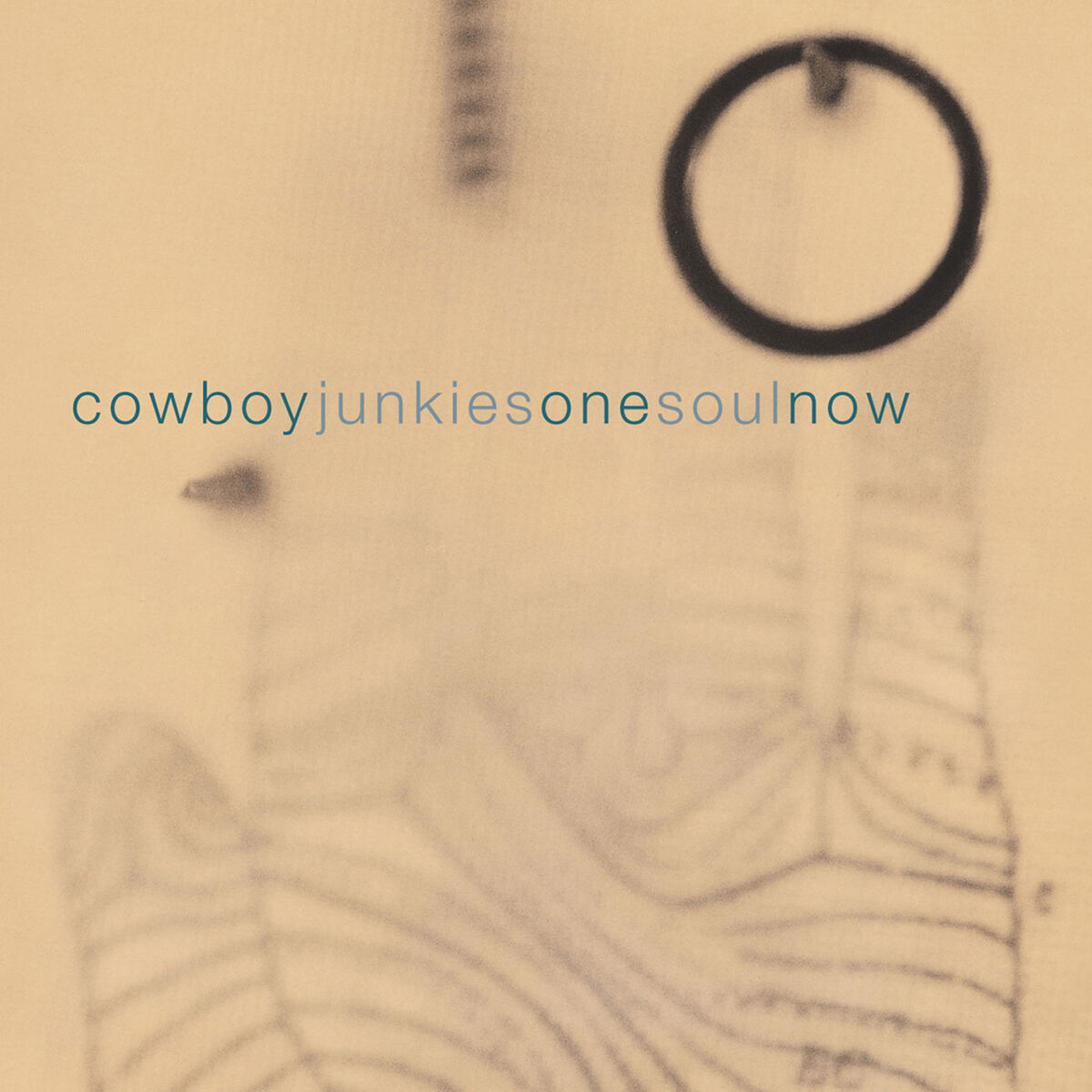 Album cover of One Soul Now