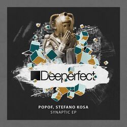 Cover of Synaptic