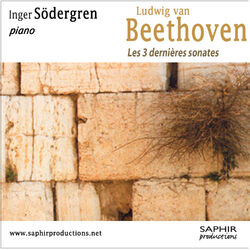 Cover of Les 3 dernières sonates