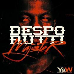 Cover of Majster