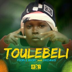 Cover of Toulebeli