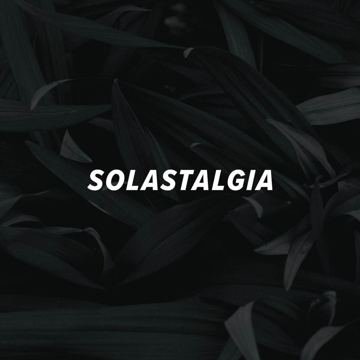 Album cover of Solastalgia