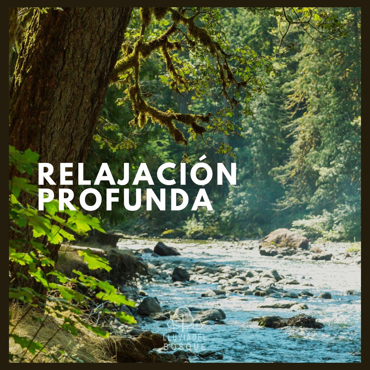 Album cover of Relajación Profunda