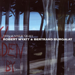 Cover of This Summer Night (Hot Chip Remix)