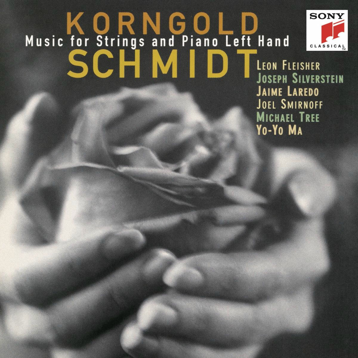 Album cover of Korngold & Schmidt: Music for Strings & Piano Left Hand