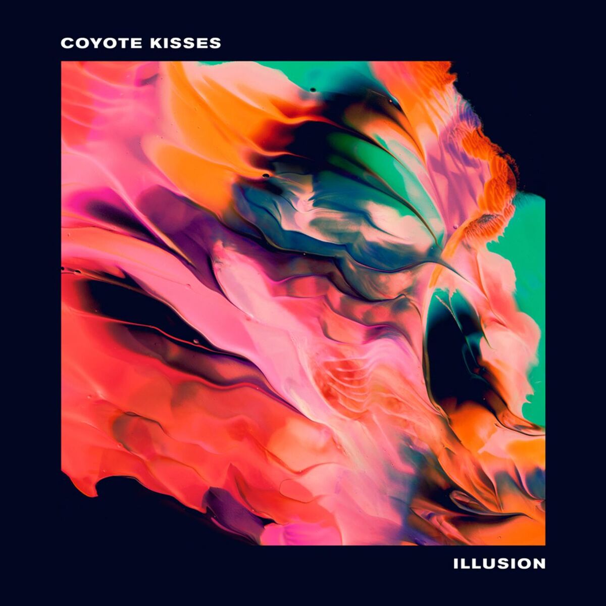 Album cover of Illusion