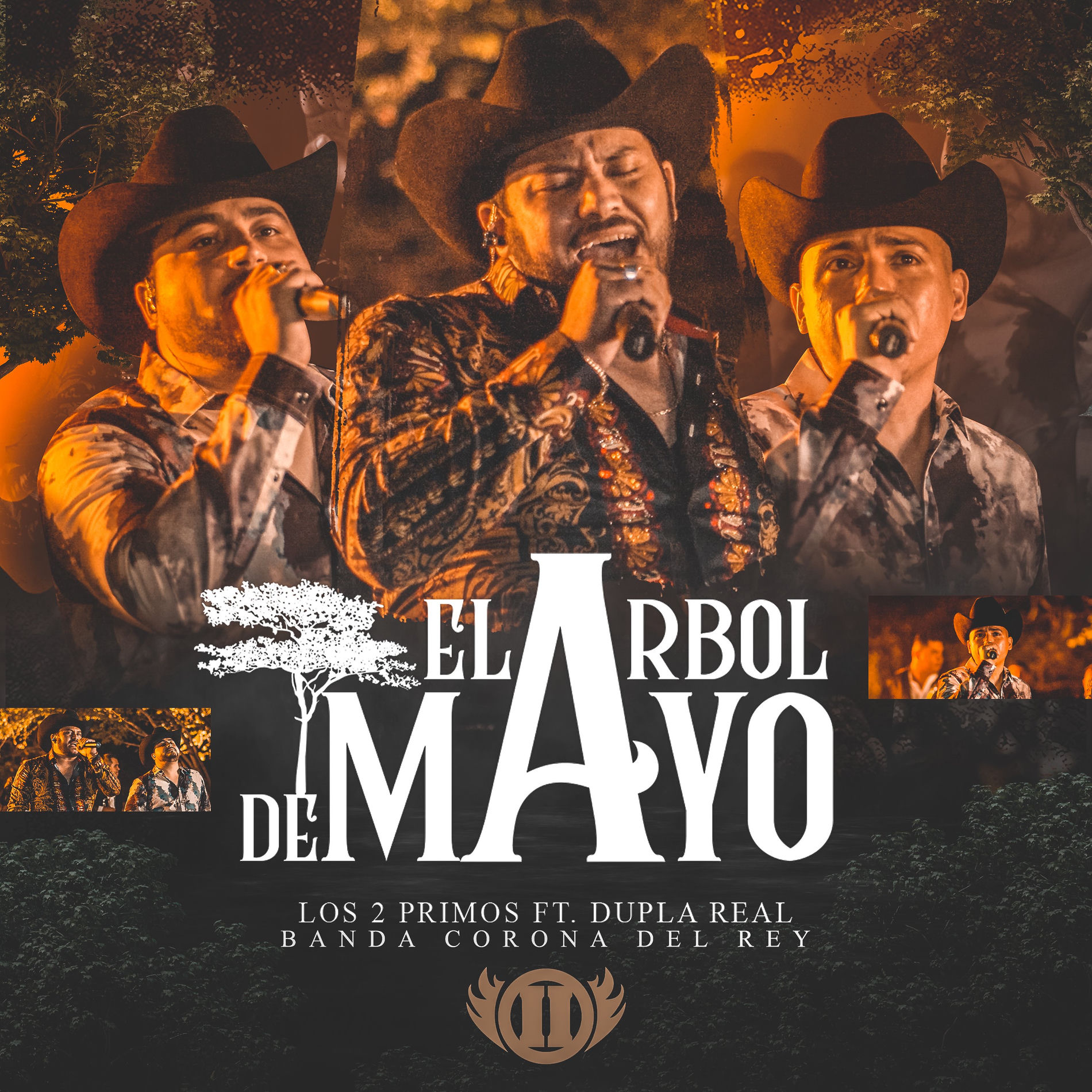 Album cover of El Árbol Del Mayo