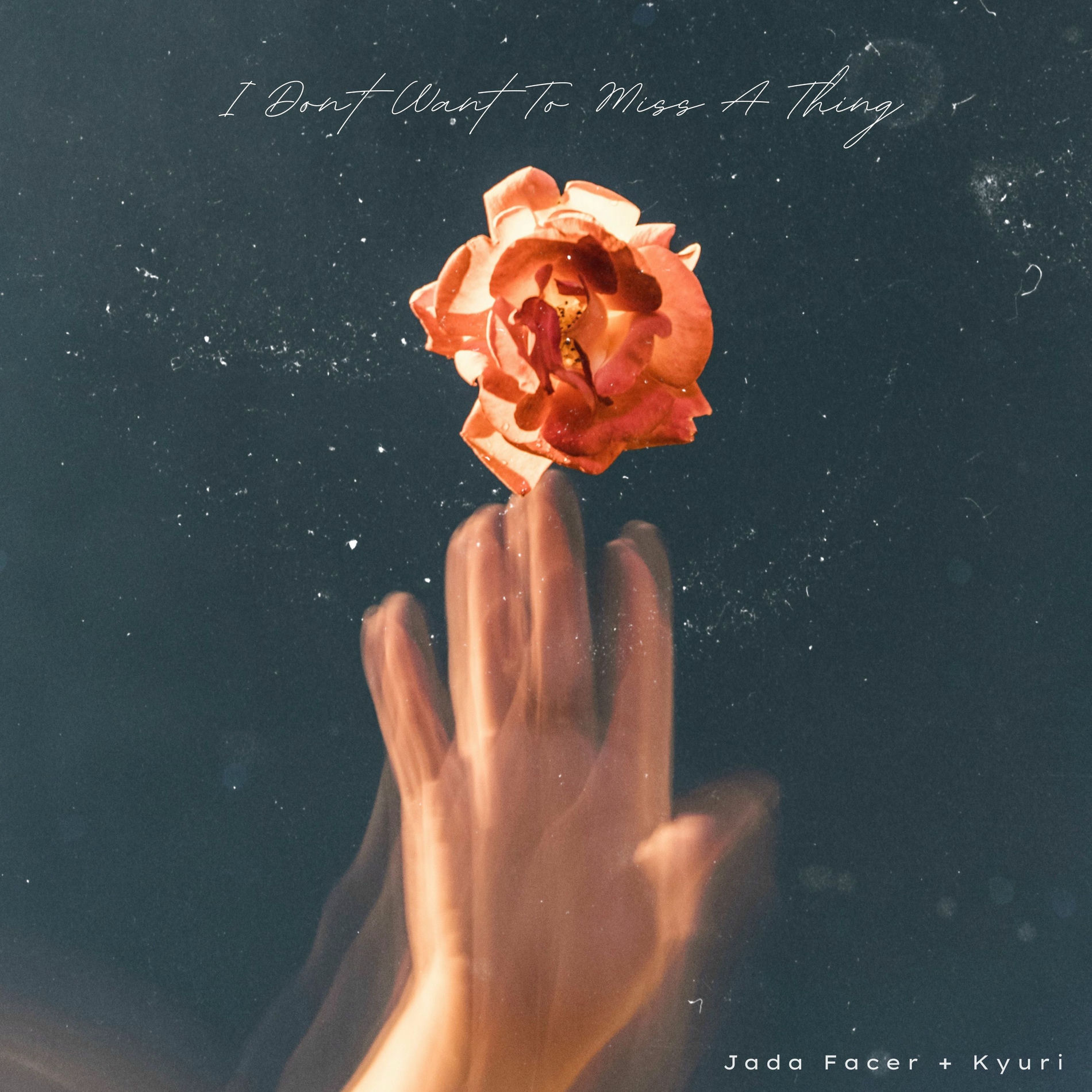 Album cover of I Don't Want to Miss a Thing