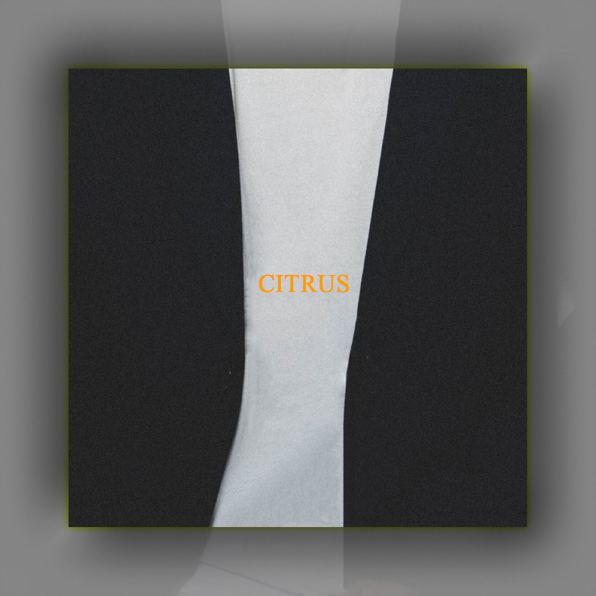 Album cover of CITRUS