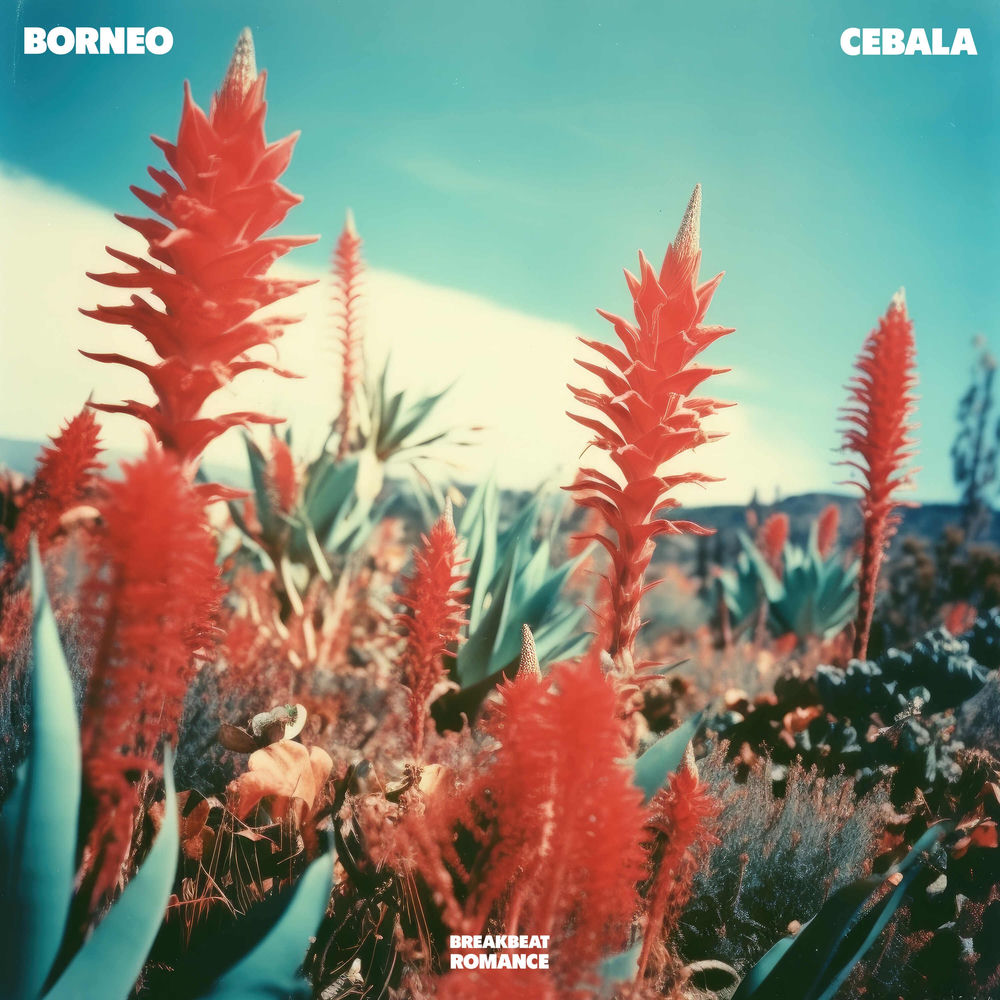 Album artwork for Cebala by Borneo