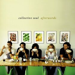 Cover of Afterwords